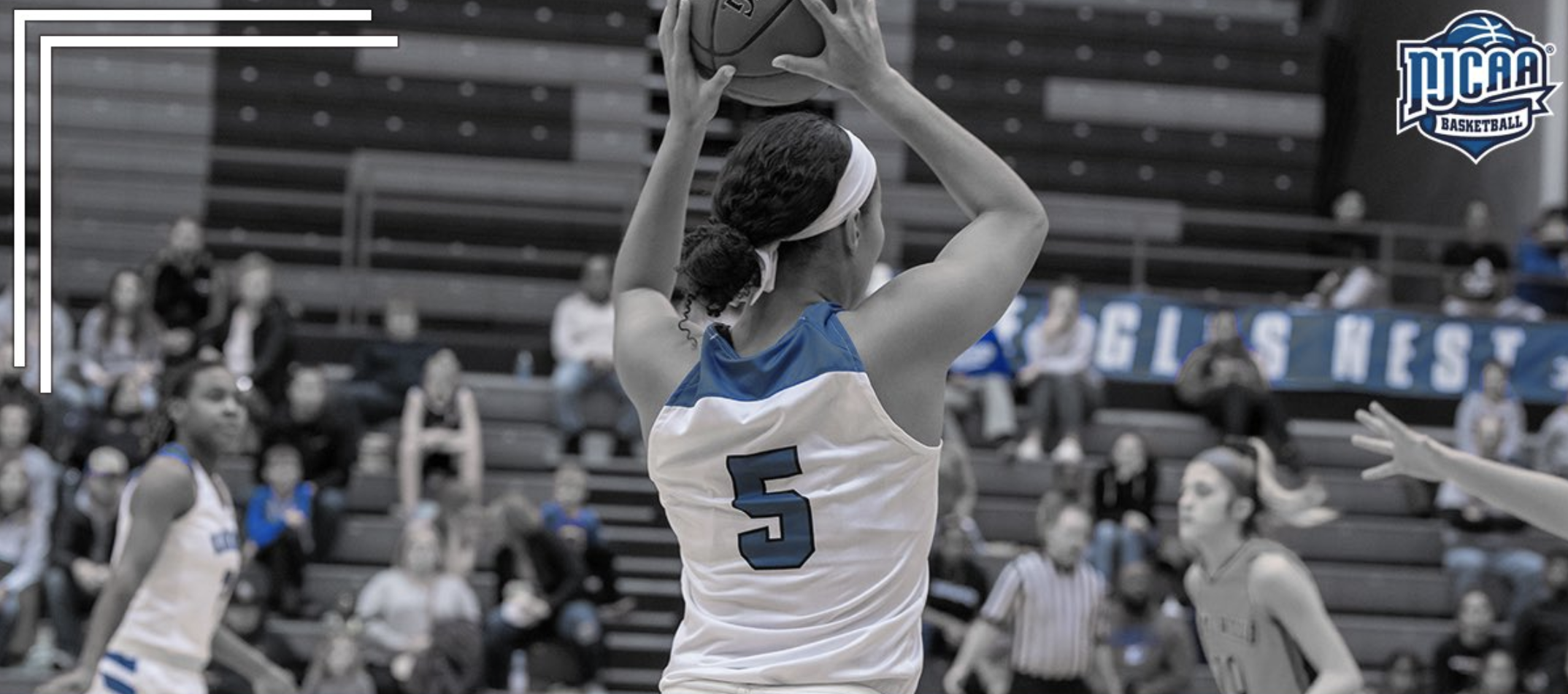 No.1 Eagles cruise at Cougar Holiday Tourney