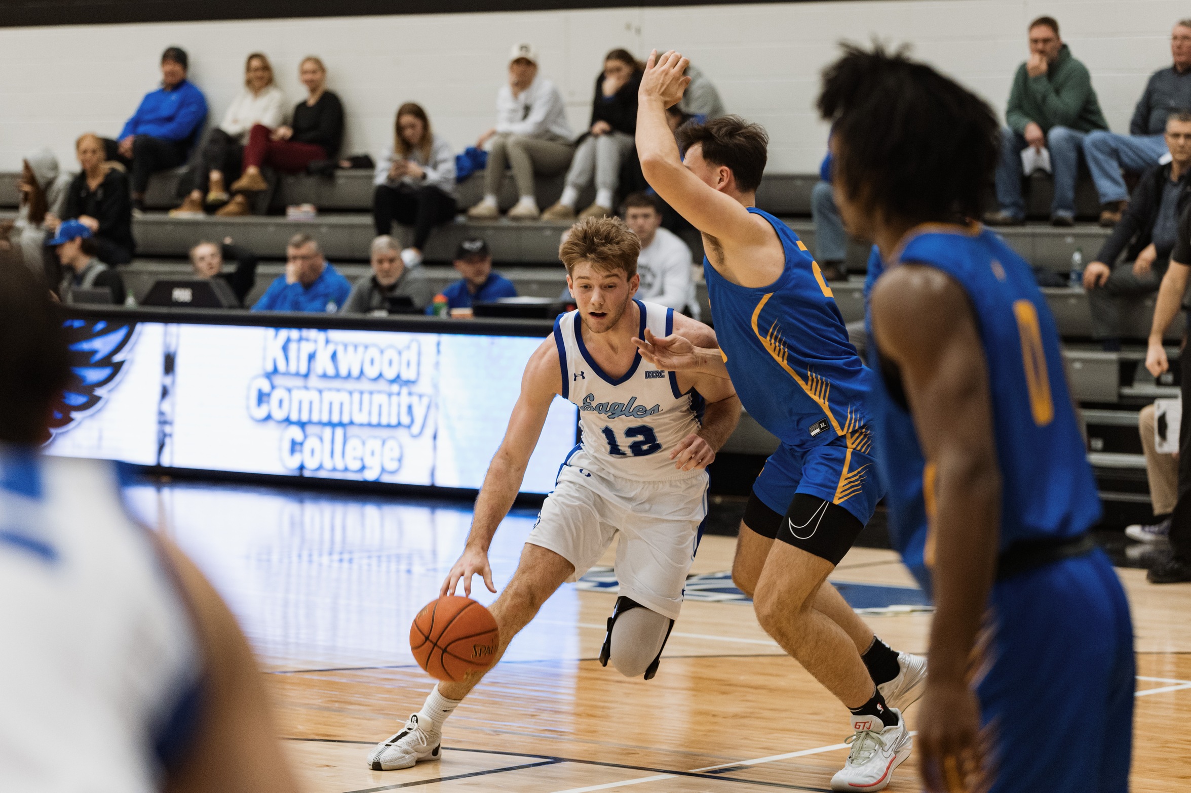 Eagles Fall to Panthers on the Road